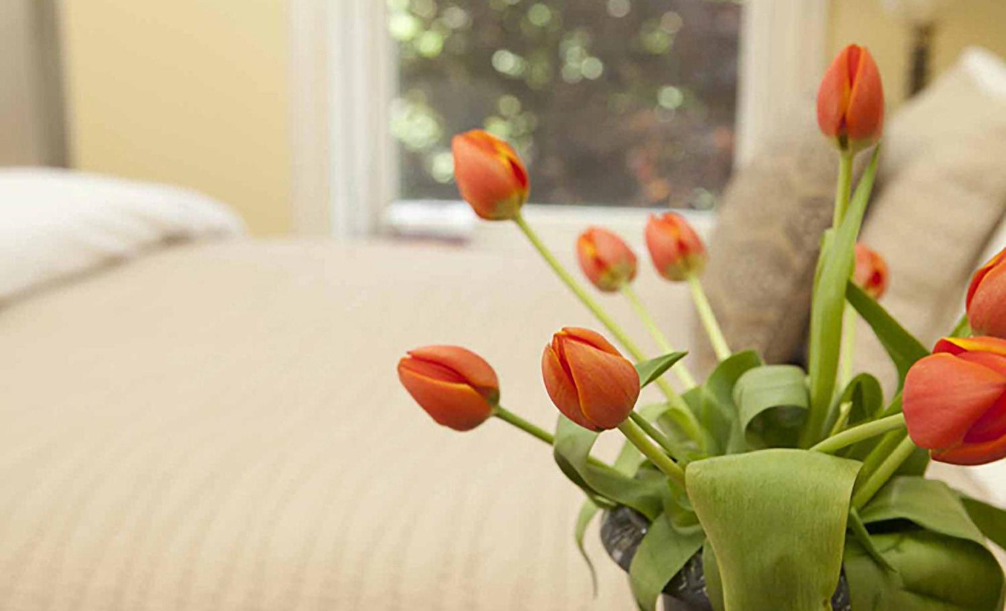 Morgan State House Inn Albany Zimmer foto